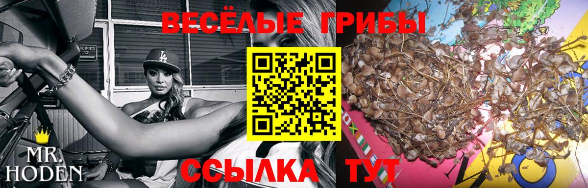 Галлюциногенные грибы мухоморы Волгоград