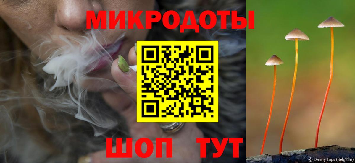 Псилоцибиновые грибы Magic Shrooms  цены   Волгоград  Вход с VPN 